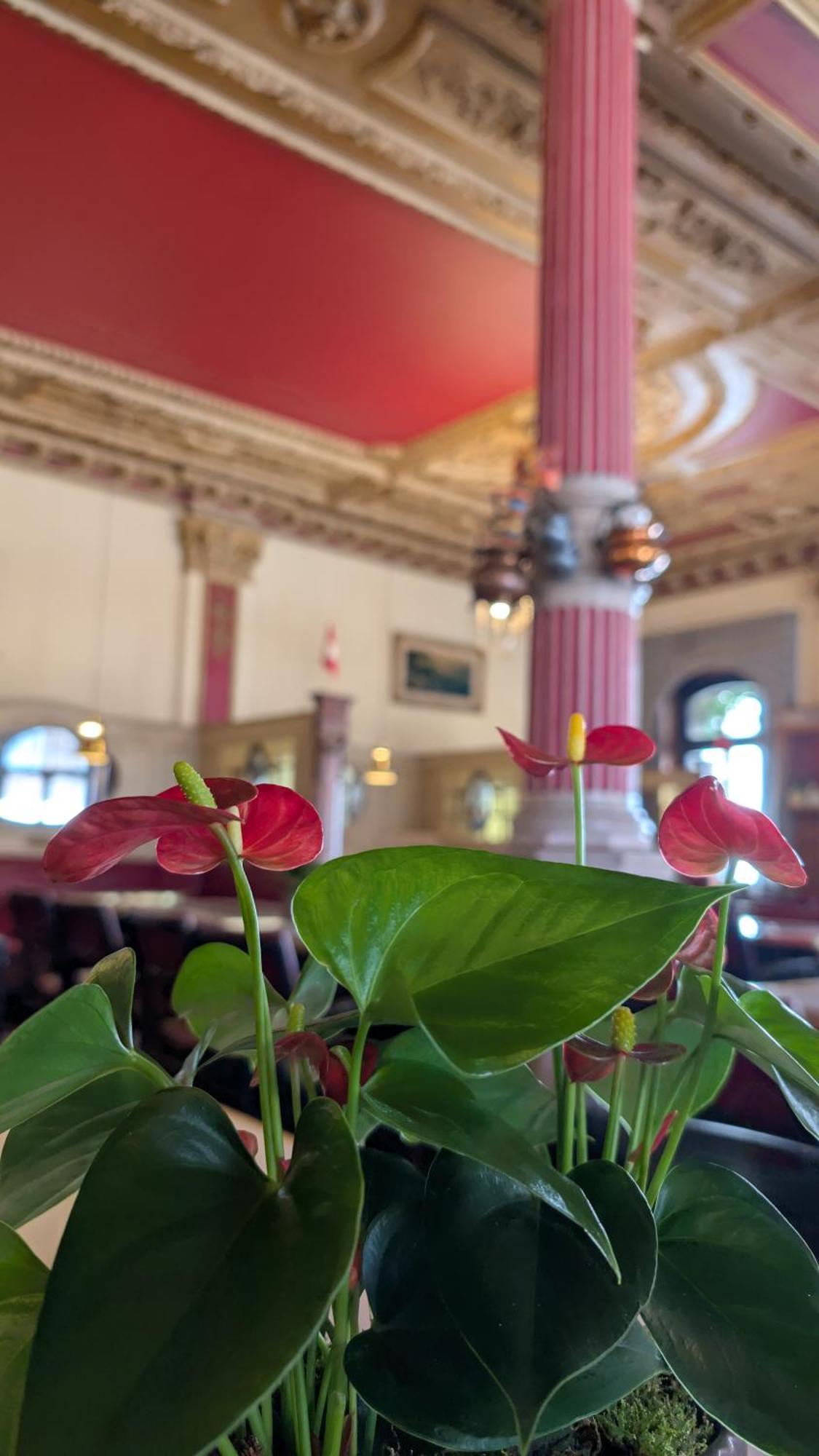 Hotel Harder Minerva Interlaken Eksteriør billede