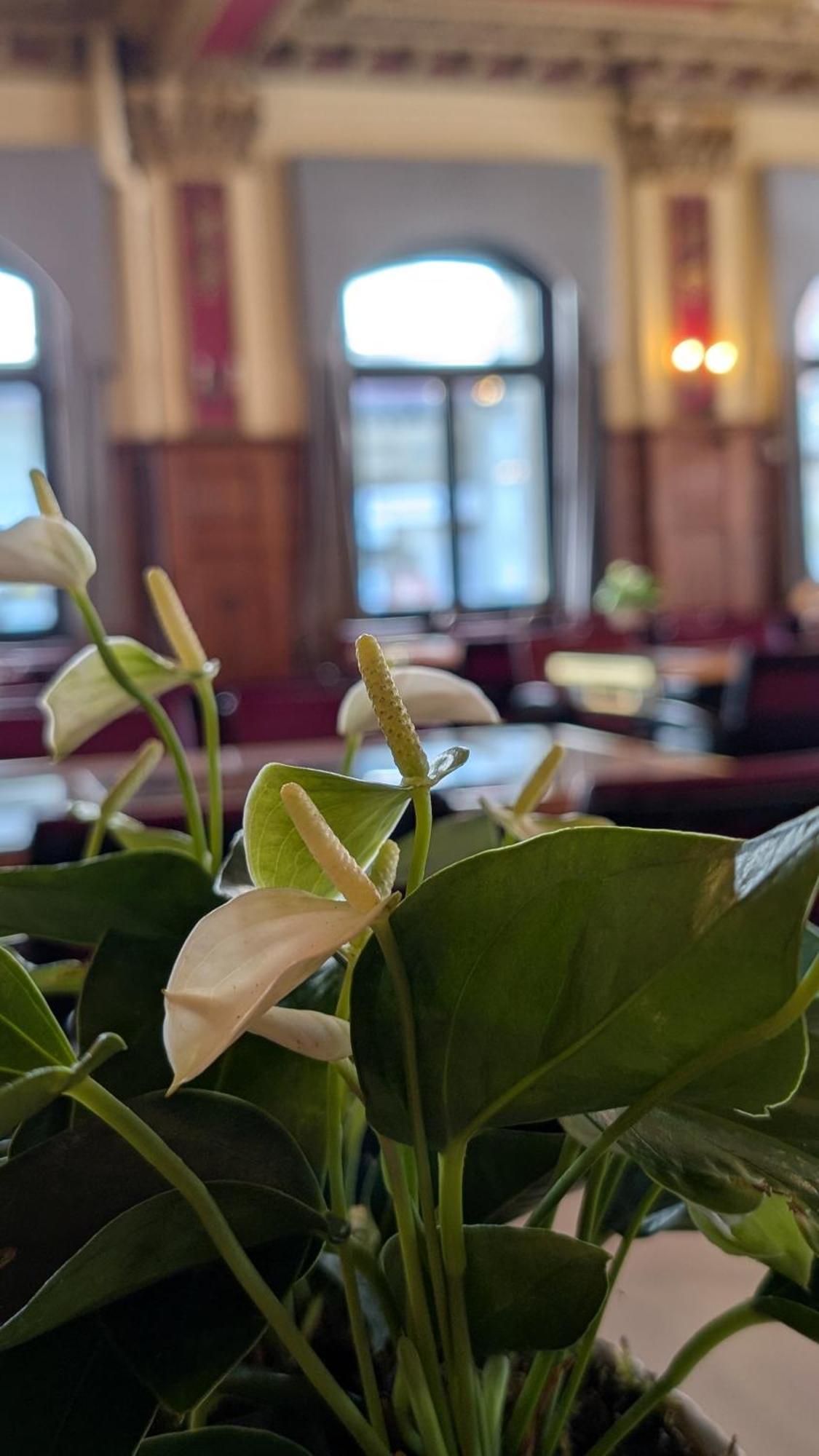 Hotel Harder Minerva Interlaken Eksteriør billede